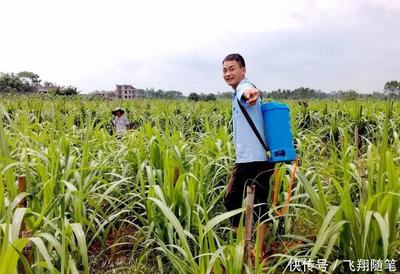 陕西省农化领域科技中介服务优秀企业推荐公示